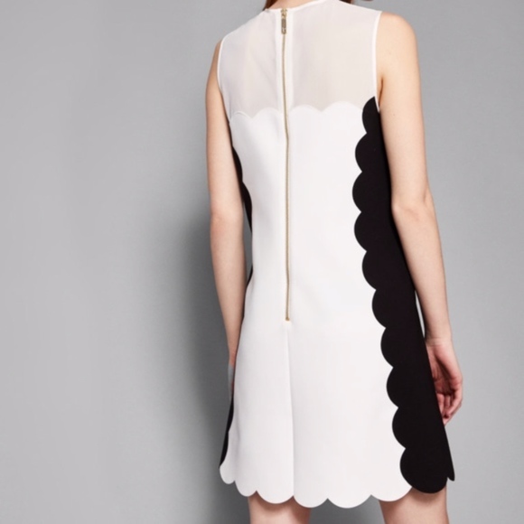 New Ted Baker Black and White Berii Dress - Picture 4 of 5